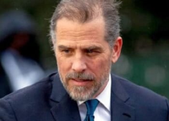 Ukrainian diplomat set to testify about Hunter Biden had visa revoked * WorldNetDaily * by Fred Lucas, The Daily Signal