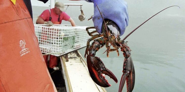 Trump Helps American Seafood and Meat Industry, Provides Important Info for Americans – RedState