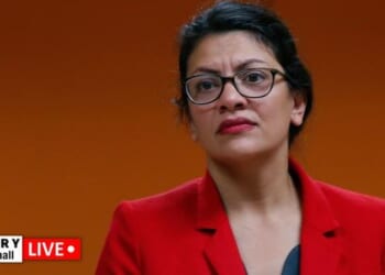 Hidden Camera Catches Rashida Tlaib Defending Citizenship Lie – RedState