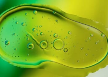 Scientists may be able to stop brain-eating amoeba before it kills you * WorldNetDaily * by Libby Bandelin, Daily Caller News Foundation