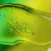 Scientists may be able to stop brain-eating amoeba before it kills you * WorldNetDaily * by Libby Bandelin, Daily Caller News Foundation