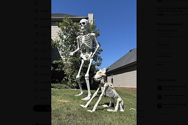 (X)