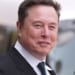 Elon Musk Busts a New Call to Target Him That Is Completely Off the Rails – RedState