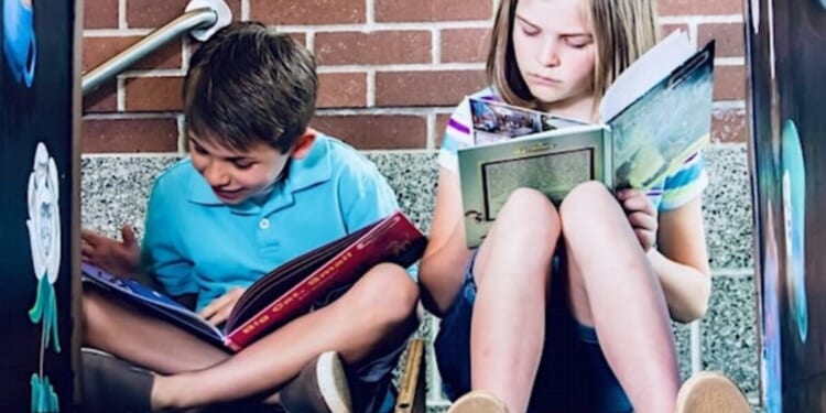 State officials warn schools about ‘unacceptable’ books available to kids * WorldNetDaily * by Bob Unruh
