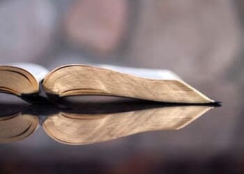 The Bible’s statutes applied to the Cornell case * WorldNetDaily * by Scott Lively
