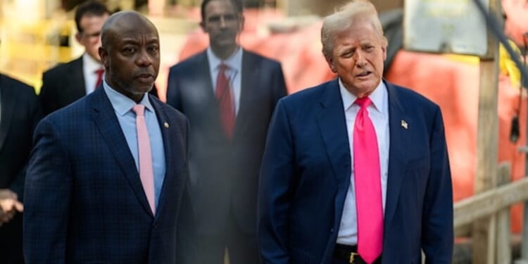 Trump a ‘racist’? No, he’s just the first GOP president to fight back * WorldNetDaily * by Larry Elder