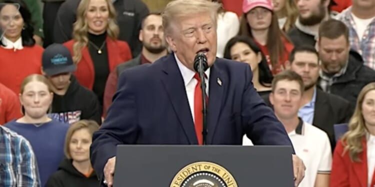 Trump rally in Florida * WorldNetDaily * by WND Staff