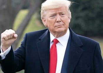 Western nationalism is defanging the world’s financial cabal * WorldNetDaily * by Hanne Nabintu Herland