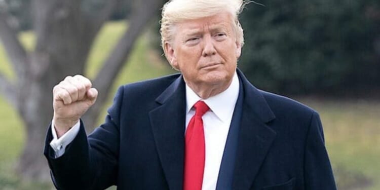 Western nationalism is defanging the world’s financial cabal * WorldNetDaily * by Hanne Nabintu Herland
